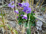 2008040803.jpg