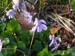 2008040804.jpg