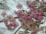 2008040901.jpg