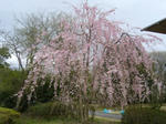 2008040902.jpg
