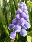 2008032805.jpg