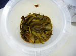 gc_2007JUN11102.jpg