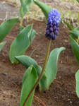 2008041503.jpg