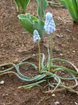 2008041504.jpg