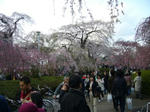 2008041204.jpg