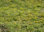 2008041601.jpg