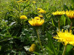 2008041602.jpg