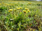 2008041603.jpg