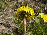 2008041604.jpg