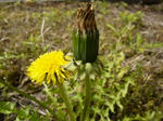 2008041605.jpg