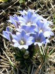 2008041701.jpg