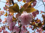2008042501.jpg
