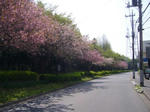 2008042502.jpg