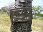 2008042503.jpg