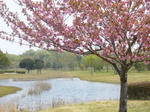 2008042505.jpg