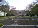 2008042801.jpg
