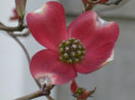 2008042804.jpg