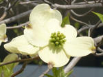 2008042805.jpg