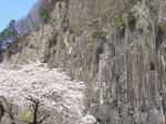 CIMG0022.JPG