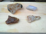 P1000067.JPG