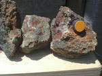 P10000713.JPG