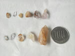 P1000071.JPG