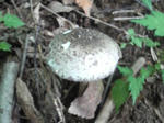 P1000076.JPG