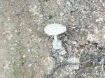 P1000077.JPG