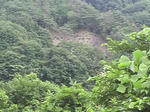 P1000080.JPG