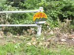 P1000081.JPG