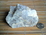 P1000083.JPG