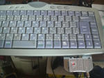 P1000086.JPG