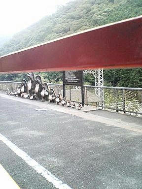 20060822_217264.jpg