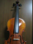 violin