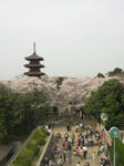 池上本門寺