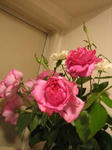 花1