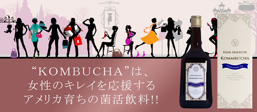 菌活飲料コンブチャの通販