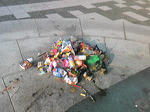 20090802_2.jpg