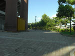 IMAGE003.jpg
