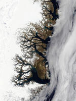 8f471621.jpg
