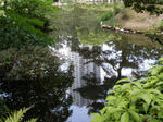 9893611c.jpg