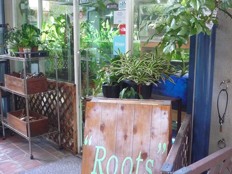 水草専門店Roots