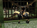 mabinogi_2011_01_20_004.jpg