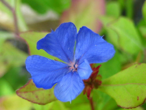 2008_0801mieko0004.JPG