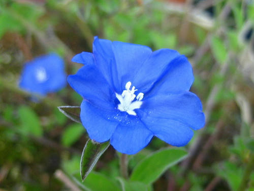 2008_0804mieko0011.JPG