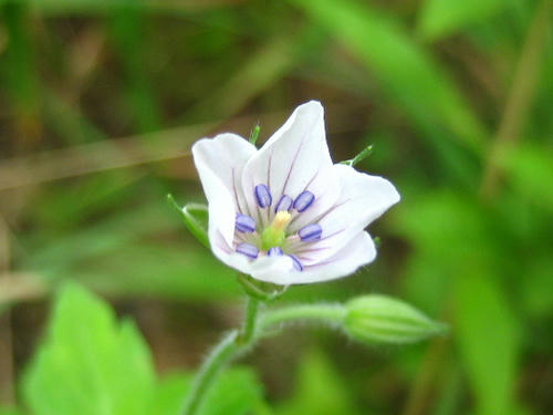 2008_0804mieko0015.JPG