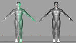 human004.jpg