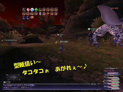 tako-11-20.jpg
