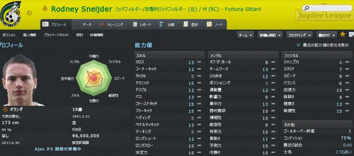 FS10_Sneijder.JPG