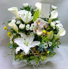 DSC01108_2.jpg
